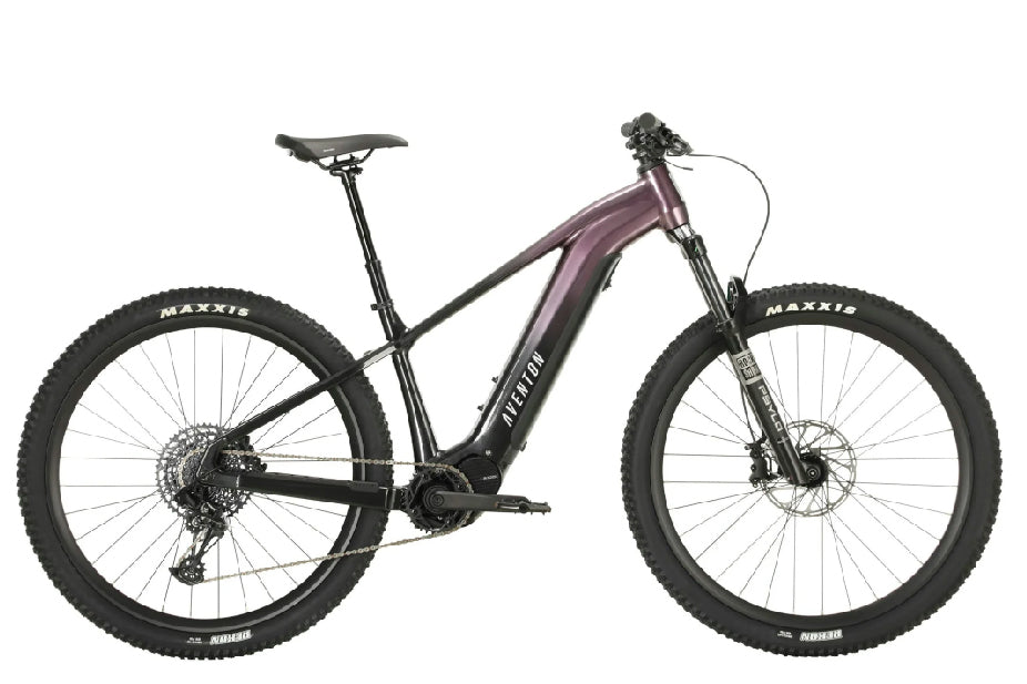 High Step Electric Bikes