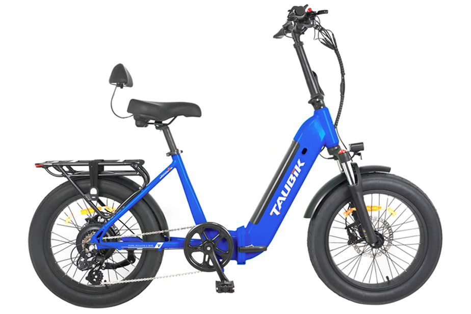 Folding Electric Bikes