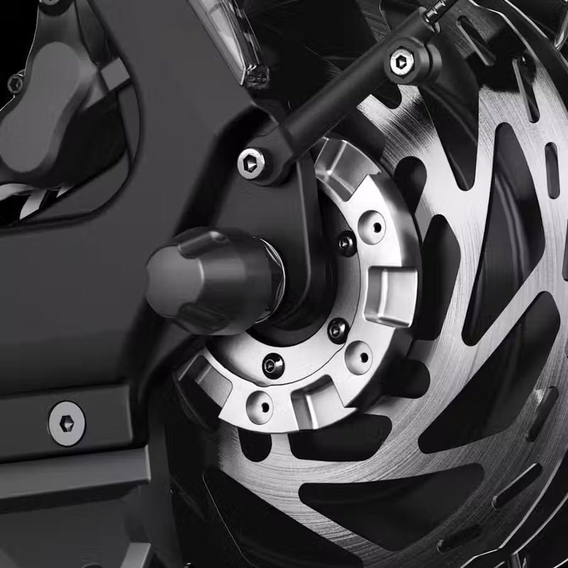 Electronic Rear Wheel Lock