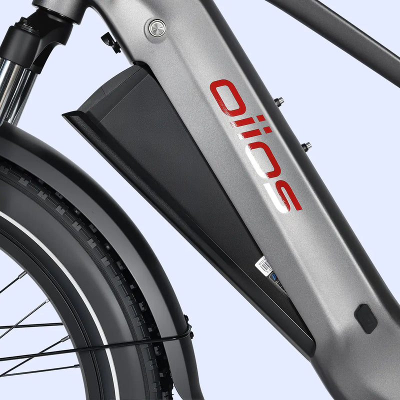 Removable In-Frame Battery