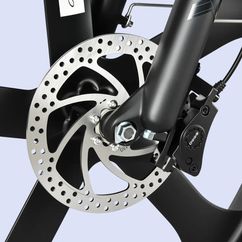 Dual-Piston Hydraulic Brakes