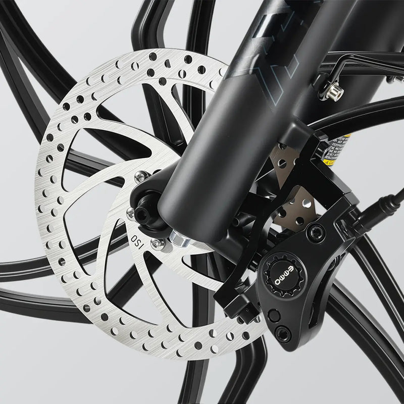 Dual-Piston Hydraulic Brake