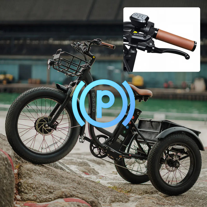 XOD Dual Disc Brakes with Lock Function