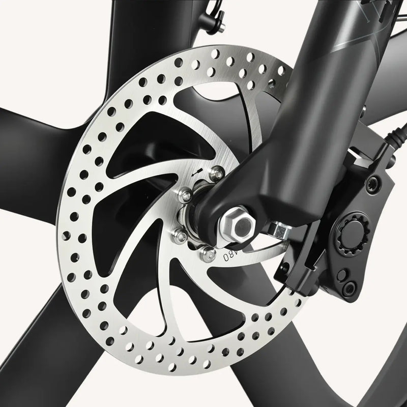 Dual-Piston Hydraulic Brake