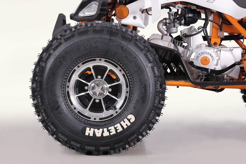 Tao Motors Cheetah Pro