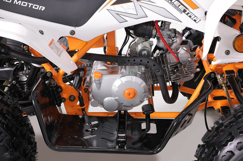 Tao Motors Cheetah Pro