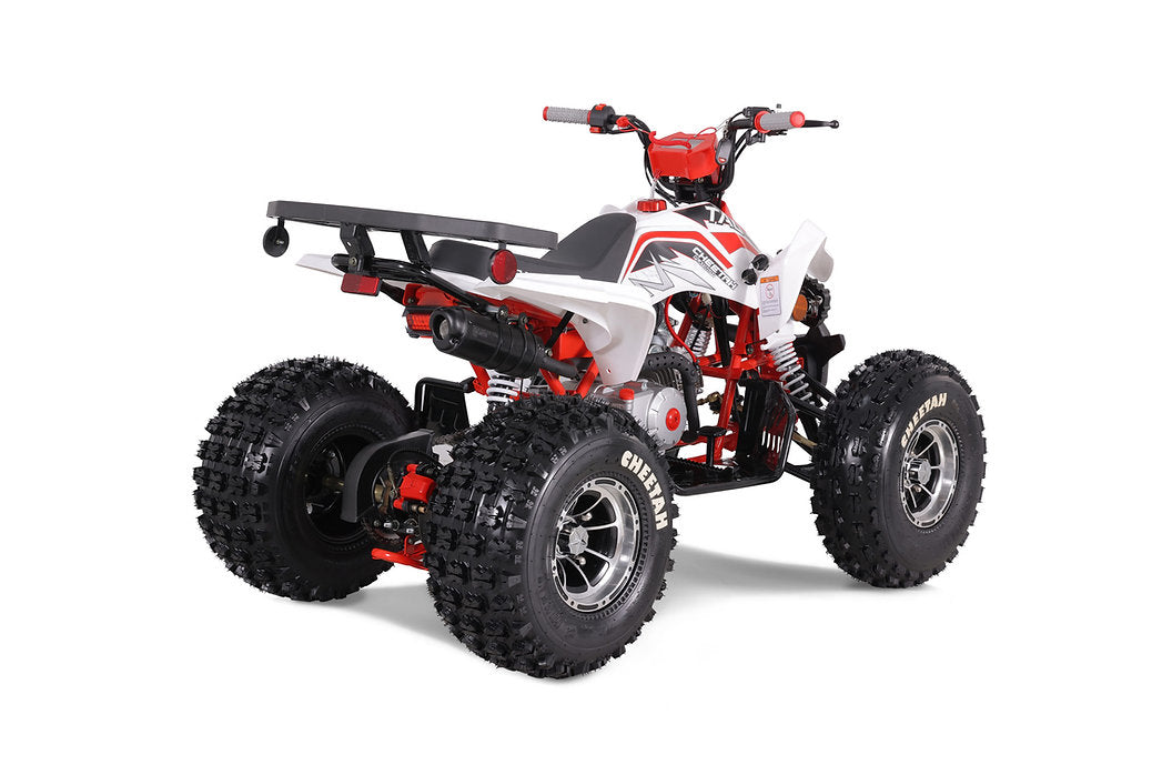 Tao Cheetah Pro 125 cc Kids ATV