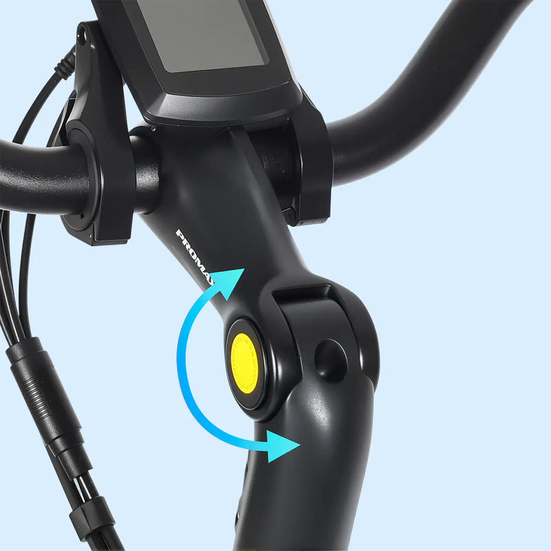 Low Step-Thru Frame & Adjustable Handlebar