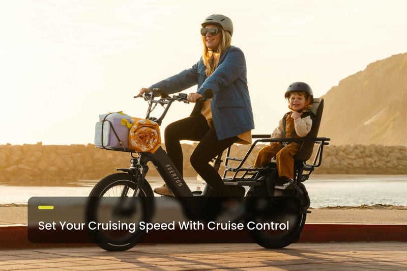 Aventon Abound LR Ebike