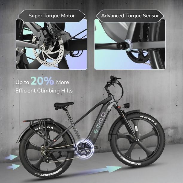 Advanced Torque Sensor