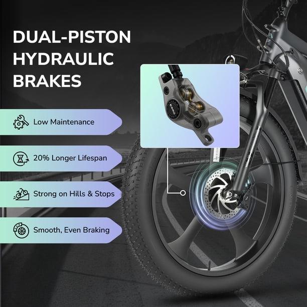 Dual-Piston Hydraulic Brake