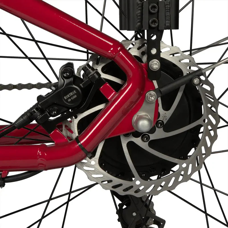 Hydraulic Disc Brakes