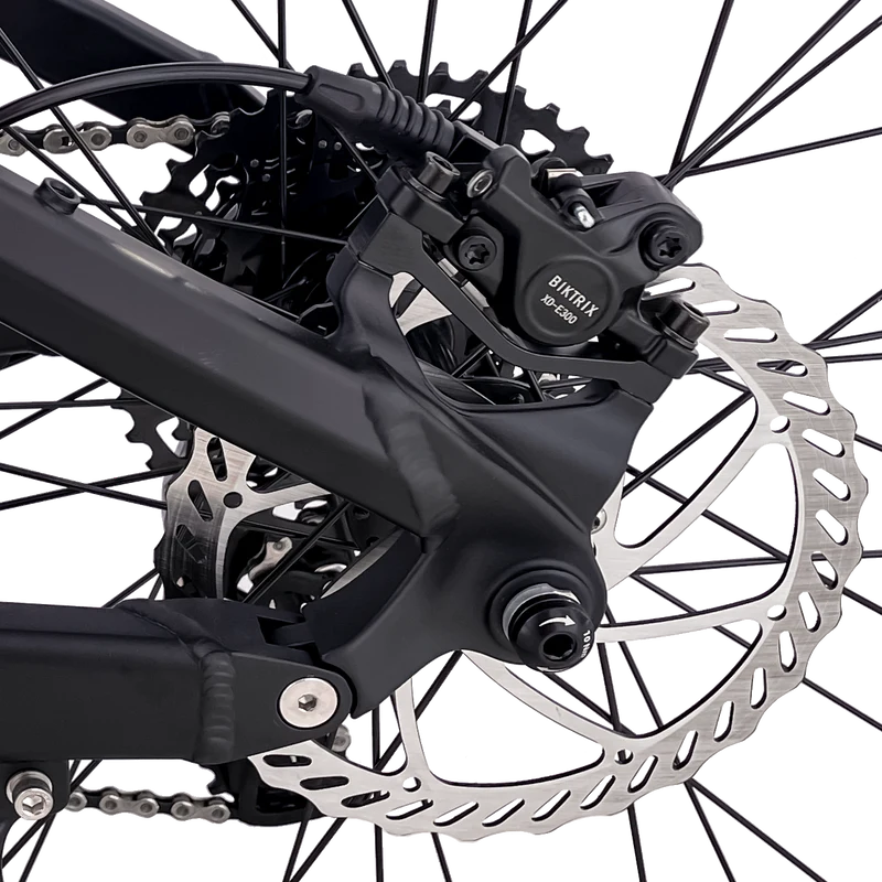 Hydraulic Disk Brakes