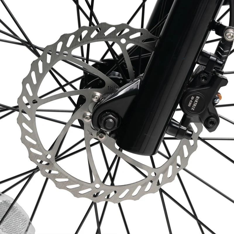 Dual Piston Hydraulic Disc Brakes