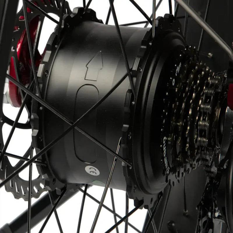 750W Rear Hub Motor