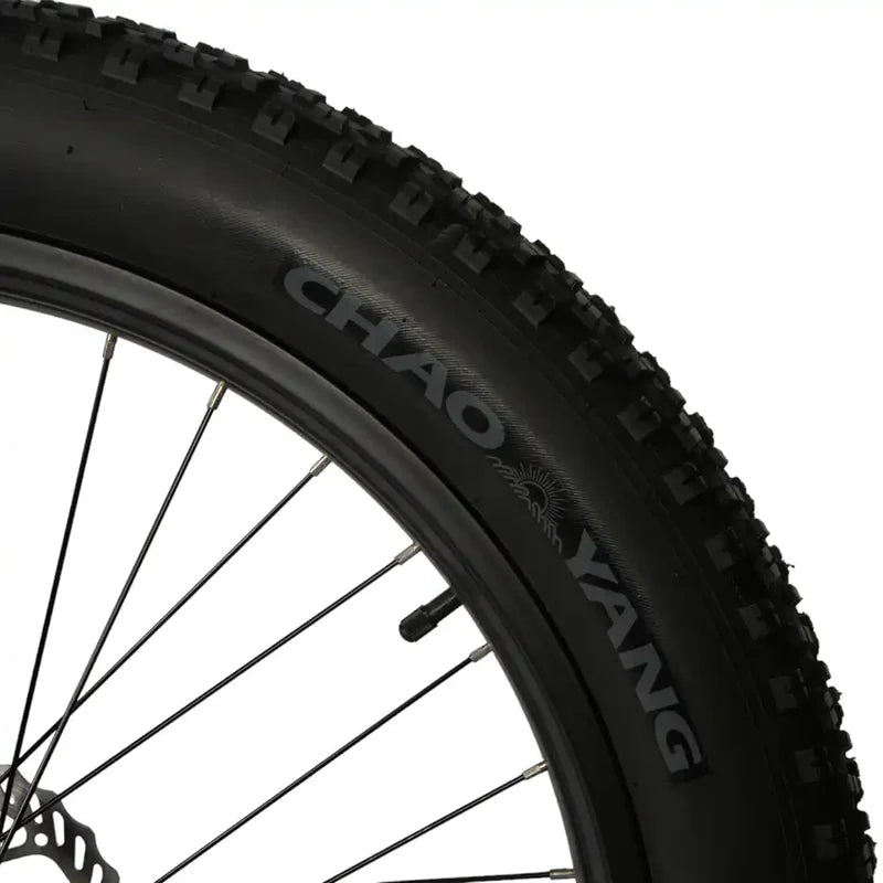 Fat Tire Comfort