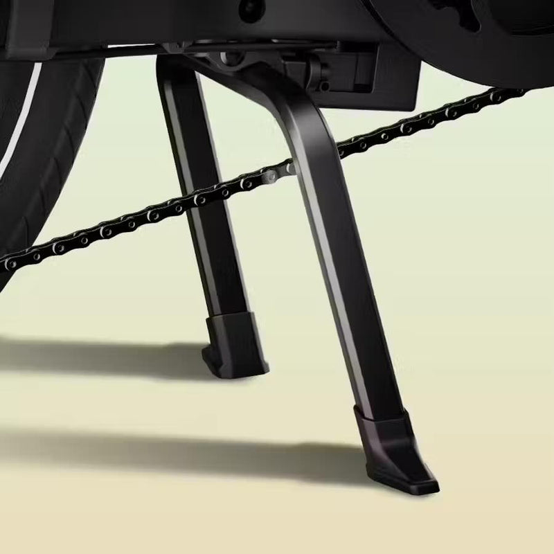 E-Lock Kickstand & Alarm