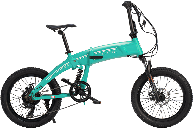 Biktrix Kutty FS