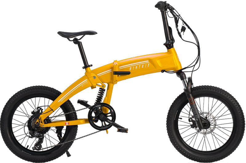 Biktrix Kutty FS