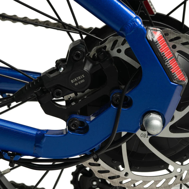 Dual Piston Hydraulic Disc Brakes