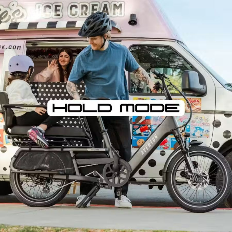 Hold Mode