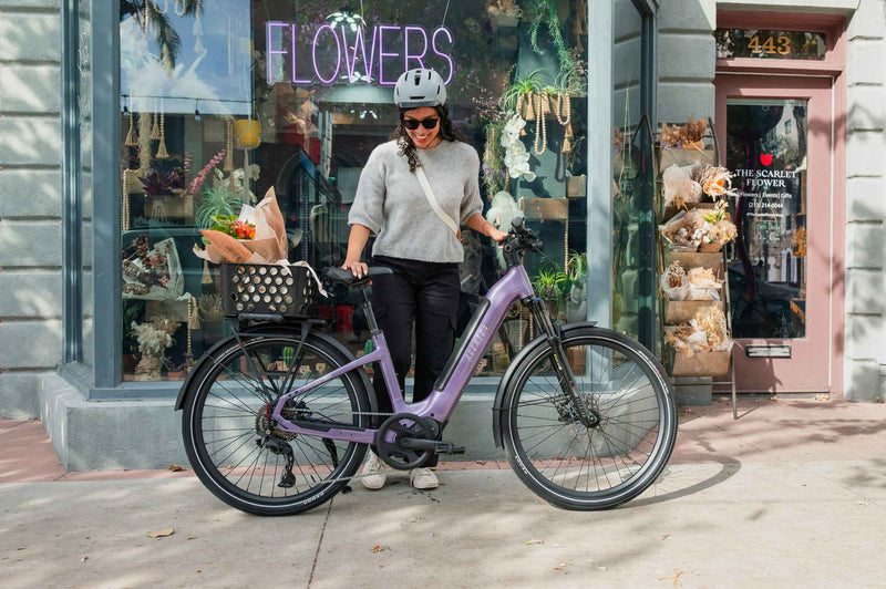 Aventon Level 4 ADV Step-Through Ebike