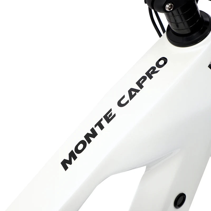 Carbon Fibre Frame