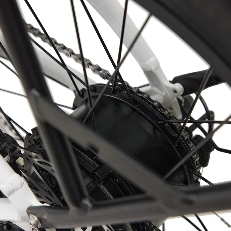 750W Rear Hub Motor