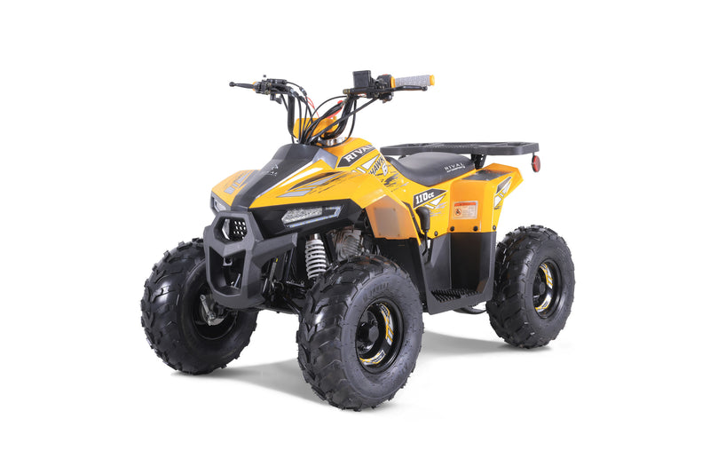 Tao Motors Mudhawk 6