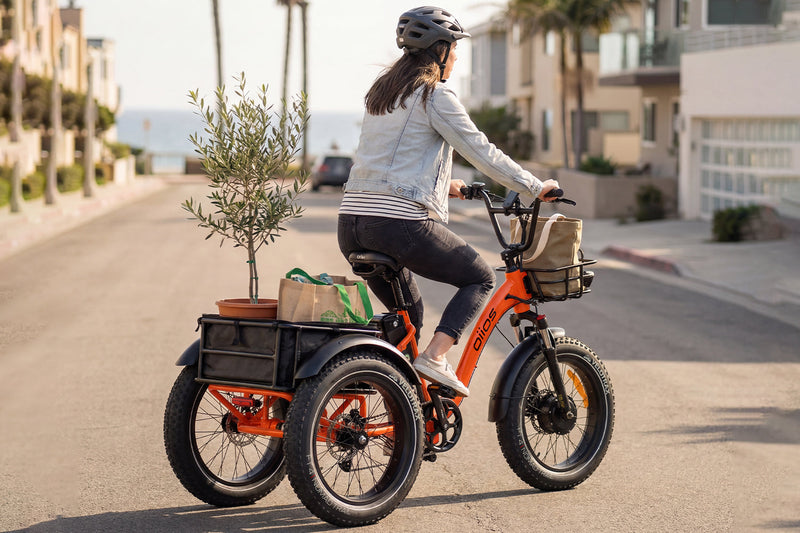 Oiios Triox Electric Tricycle