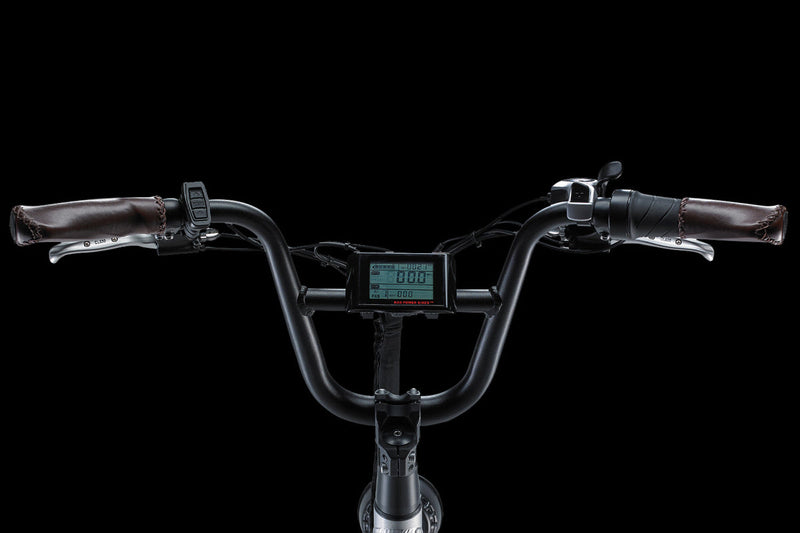 Rad Power RadRunner Plus - Electric Utility Bike