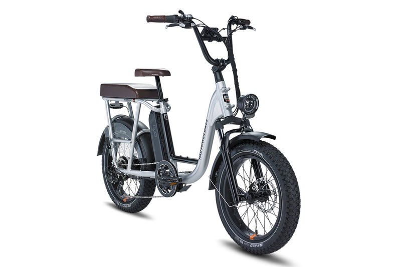 Rad Power RadRunner Plus - Electric Utility Bike