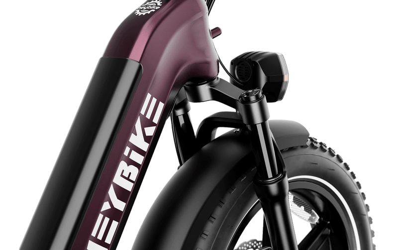 Heybike Ranger S Folding Electric Bike