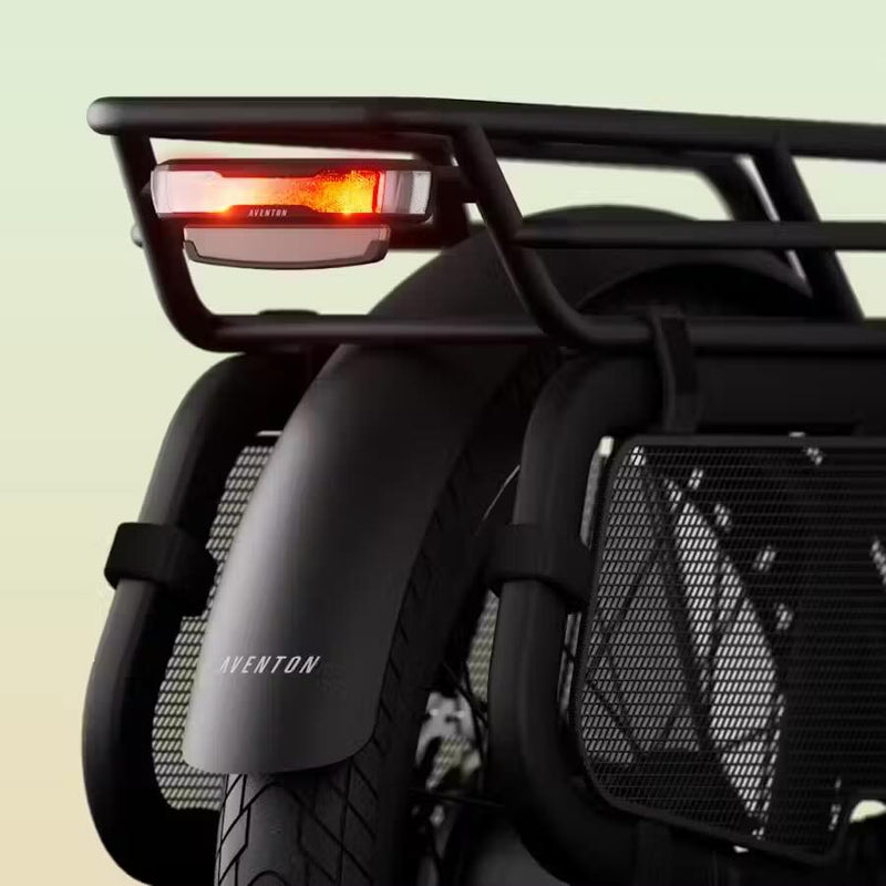 Rear Rack & Carrier