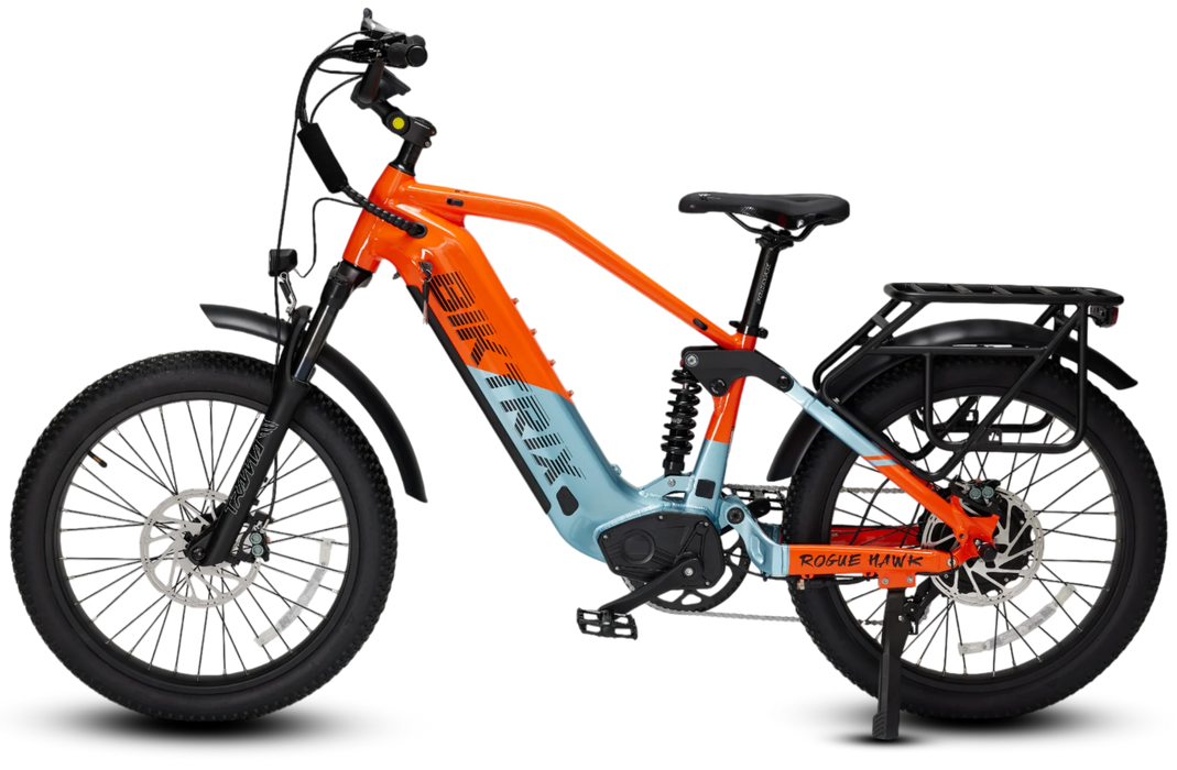 Biktrix RogueHawk FS SO