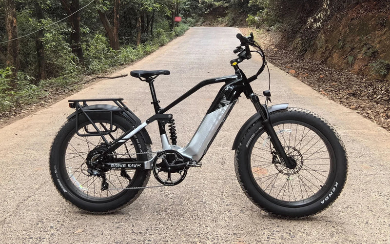 Biktrix RogueHawk FS SO