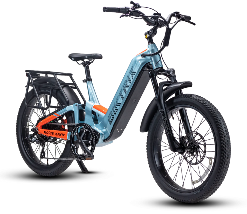 Biktrix RogueHawk FS ST