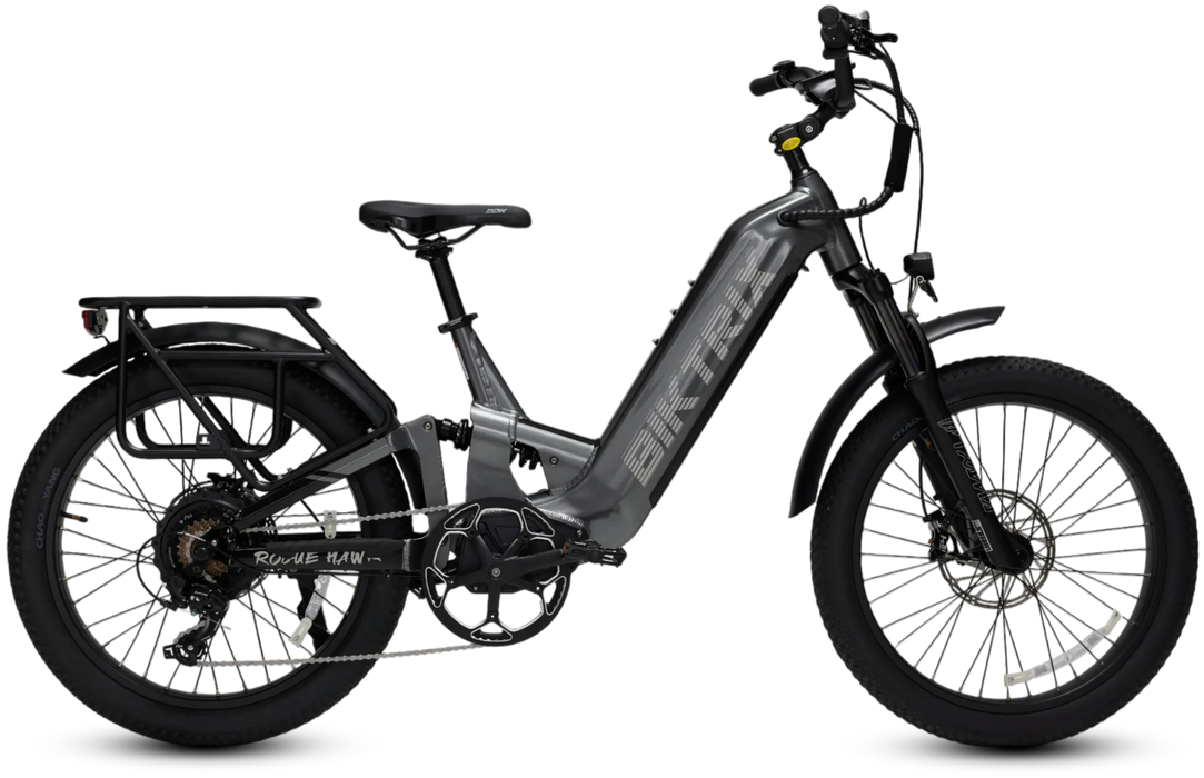 Biktrix RogueHawk FS ST