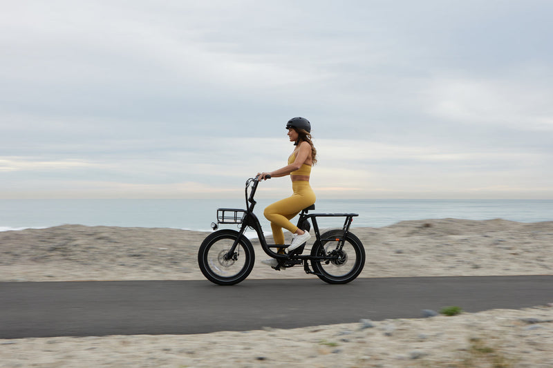 Rad Power RadRunner 2 - Electric Utility Bike