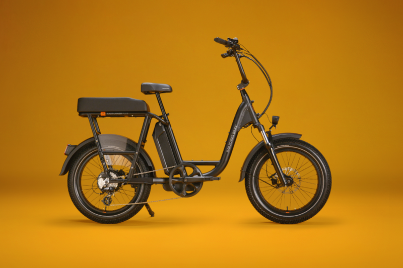 Rad Power RadRunner Plus - Electric Utility Bike