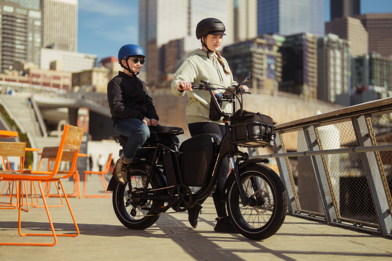 Rad Power RadRunner Plus - Electric Utility Bike