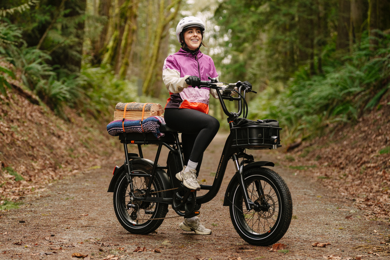 Radrunner Plus RadRunner Plus Electric Utility Bike - Derand Motorsports