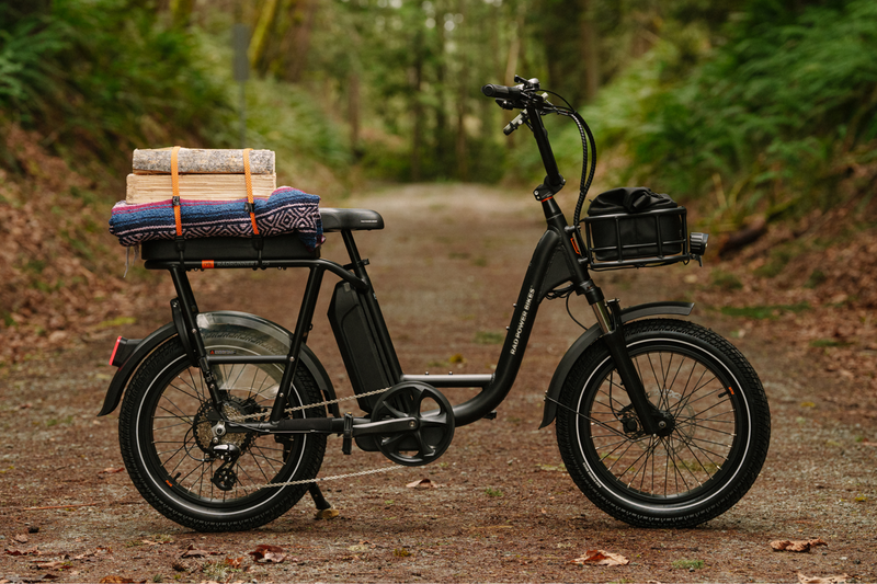 Rad Power RadRunner Plus - Electric Utility Bike