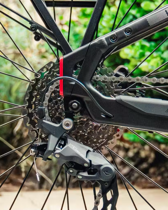 Integrated Rear Wheel Lock