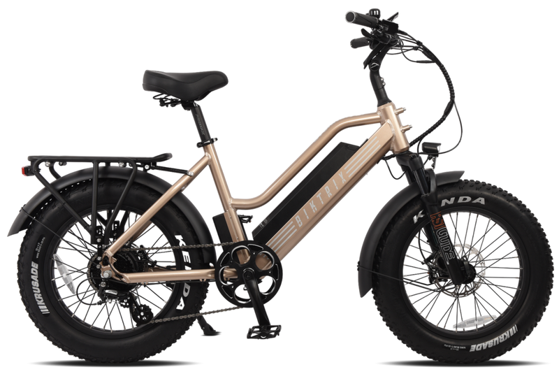 Biktrix Stunner LT 8