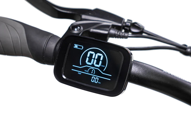 LCD Display