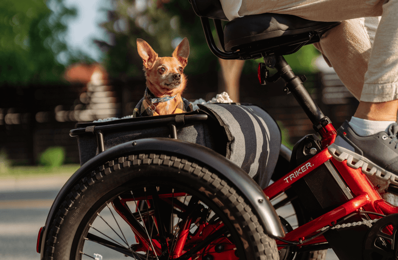 Velotric Triker Electric Trike