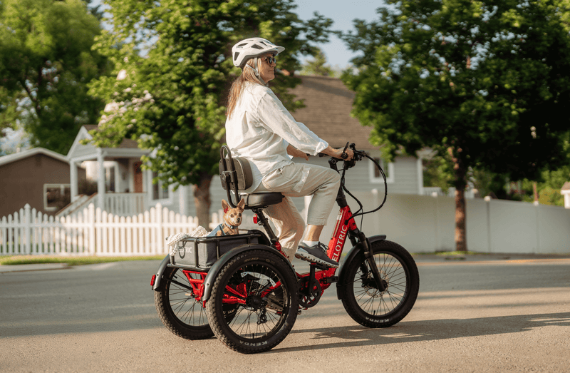 Velotric Triker Electric Trike