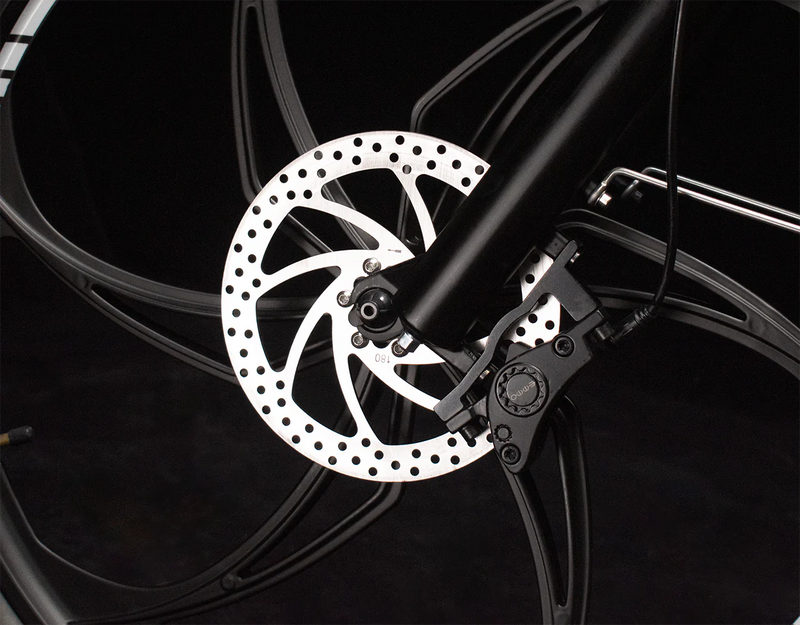 Dual Piston Hydraulic Brakes