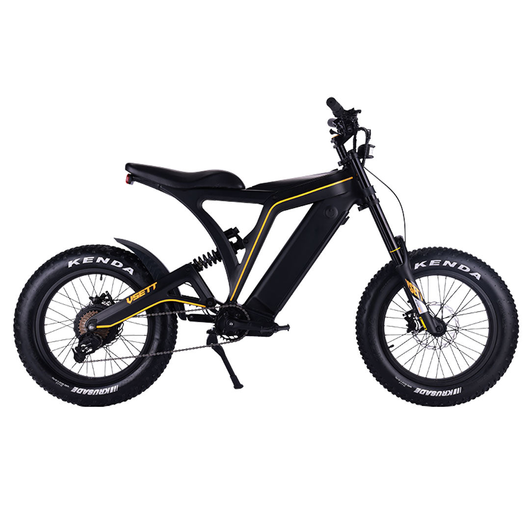 Electric Bicycle Eagle Electric Motorcycle Power-Ride EAGLE